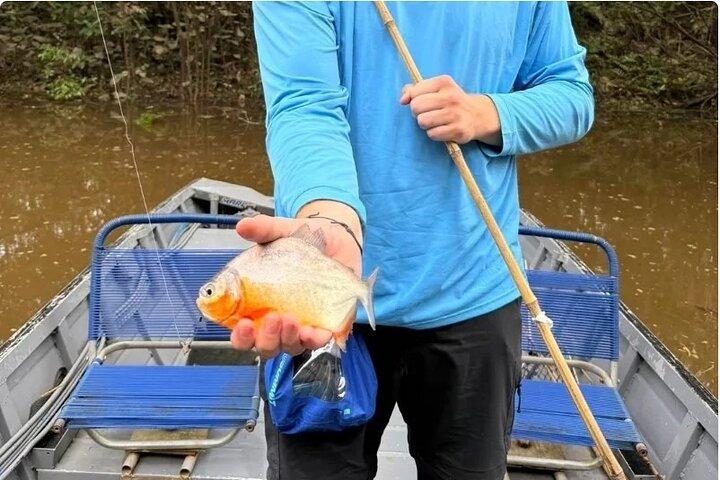 Piranha Fishing in Tambopata