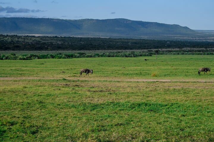 3 Days Mara Masai Group Joining Budget Safari