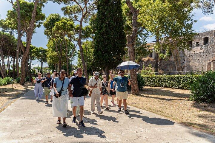 From Naples: Pompeii Shore Excursion for Cruisers with Guide