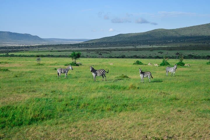 3 Days Mara Masai Group Joining Budget Safari