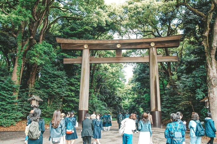 Tokyo: Big Highlights - Asakusa, Shibuya & Meiji Shrine tour