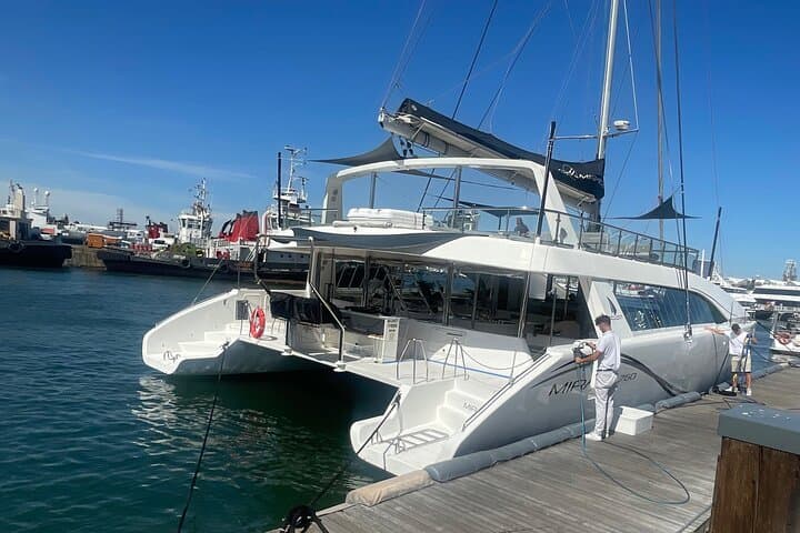 Afternoon Ocean Safari (Hotel Pickup & Dropoff incl) CAPE TOWN