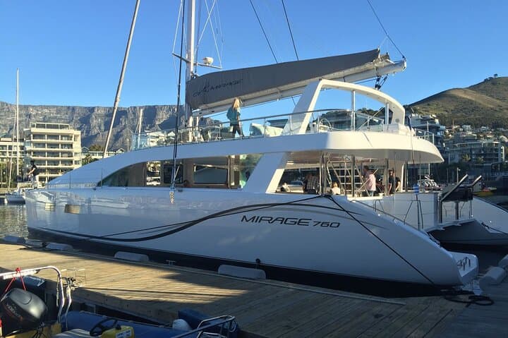 Afternoon Ocean Safari (Hotel Pickup & Dropoff incl) CAPE TOWN