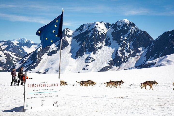 Anchorage Helicopter Glacier Dogsledding Tour