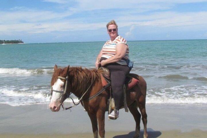 Amazing 3-Hour Horseback Riding at Puerto Plata with Pickup