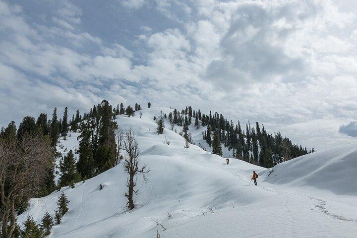 Snow Adventure in Shogran Thandiani Murree and Galyat from Lahore