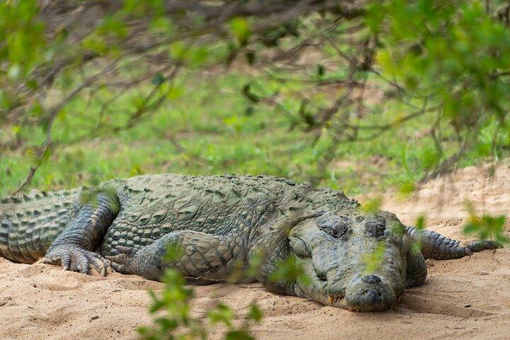 Yala National Park Full Day Safari (Private & All-Inclusive)