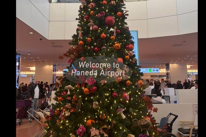 Haneda Airport Private Transfer | Tokyo, Yokohama & Cruise Port