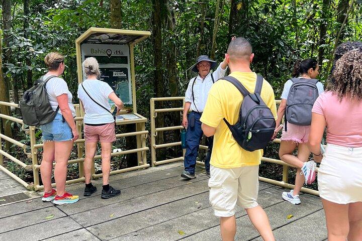 Manuel Antonio Beach & National Park Day Tour from San José