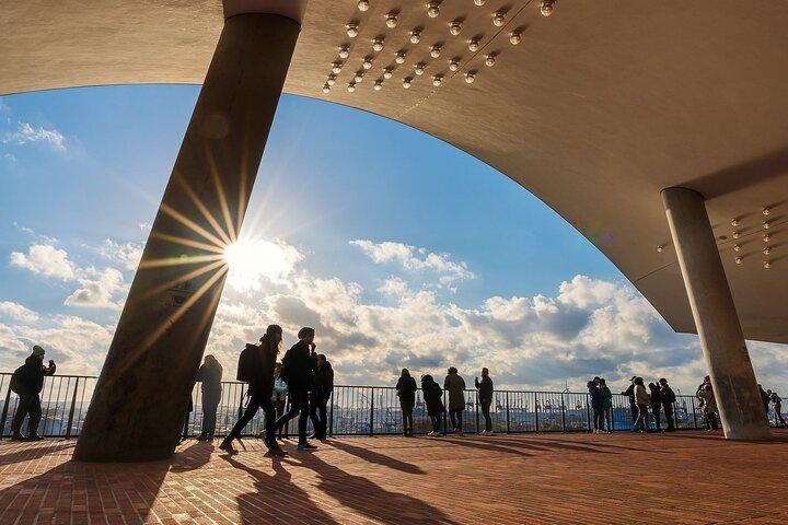 Elbphilharmonie Ticket and Audio Tour with Walk in Hafen City