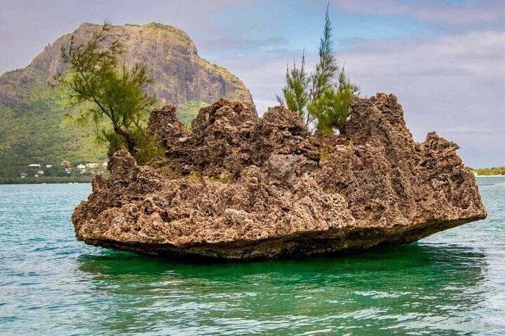 Dolphin Swim with Crystal Rock and BBQ Lunch in Mauritius