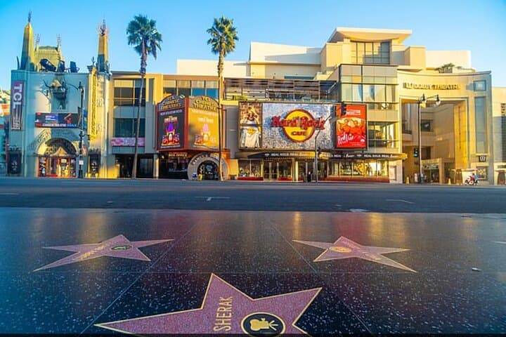 Hollywood Open Bus Tours