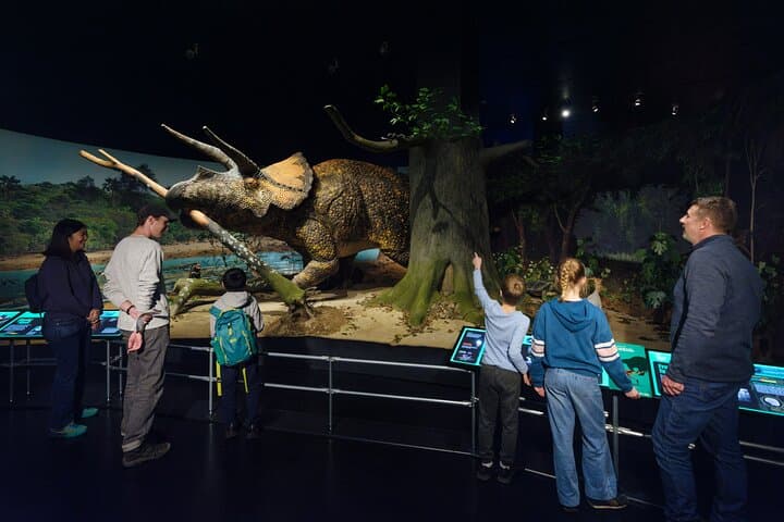 American Museum of Natural History Admission Ticket