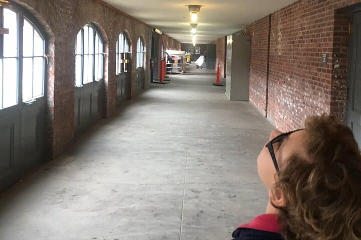 NYC Mafia and Ghost Tour to Ellis Island and Statue of Liberty