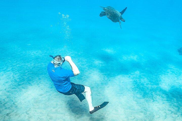 Maui: Molokini & Turtle Town Snorkel & Waterslide Adventure