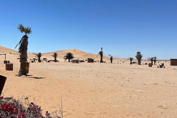 Half Day Walvis Bay Tour Lagoon Dune 7 and Pink Lake