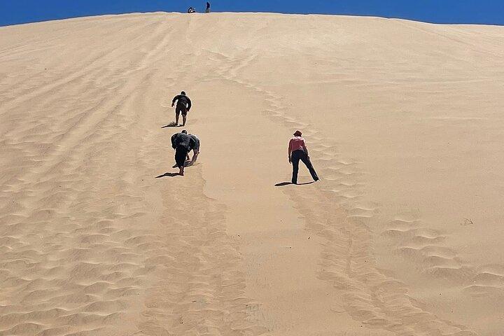 Half Day Walvis Bay Tour Lagoon Dune 7 and Pink Lake