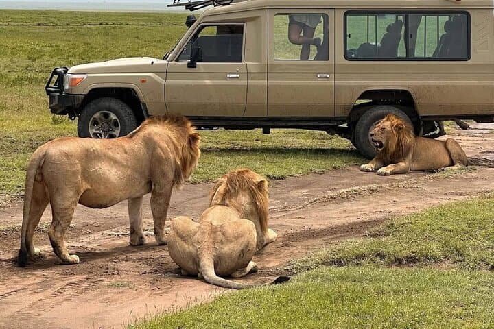 3 Days Masai Mara Group Joining Package