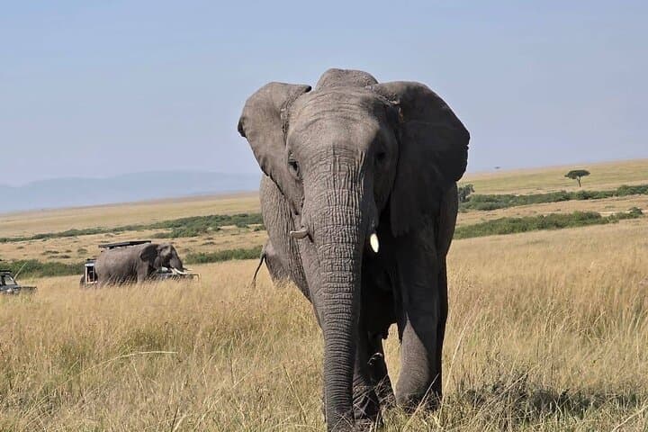 3 Days Masai Mara Group Joining Package