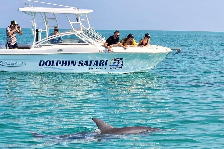Dolphin Watching and Snorkeling Key West