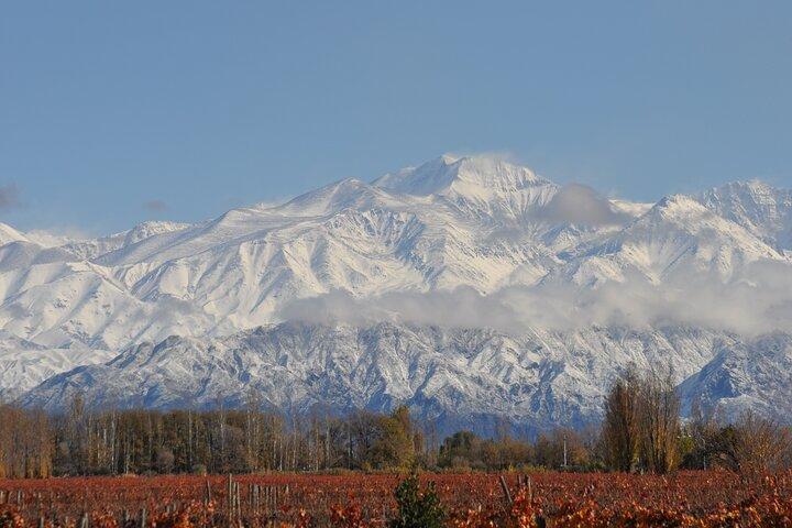 Mendoza Wine Tasting at Bodega Ciclo Andino with Snacks