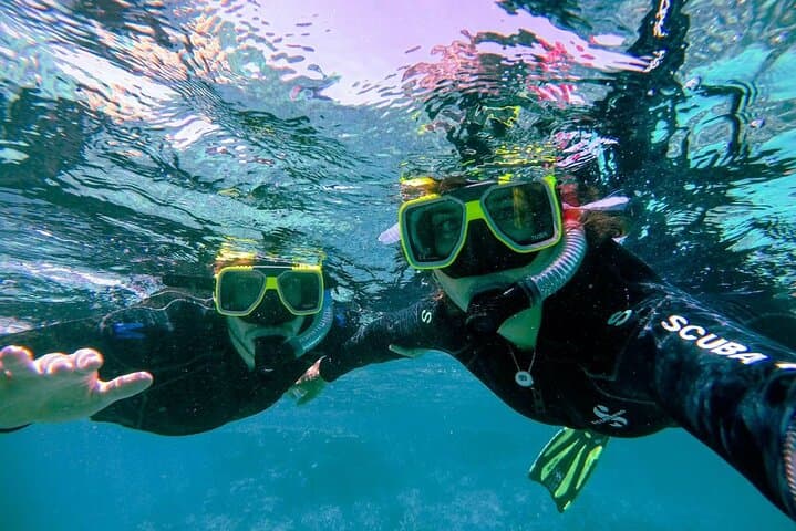 Privately Guided Snorkelling the African Sea Forest, Simonstown
