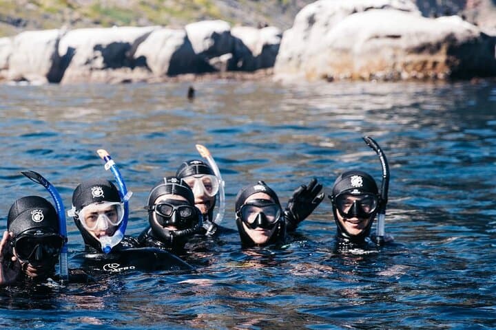 Privately Guided Snorkelling the African Sea Forest, Simonstown