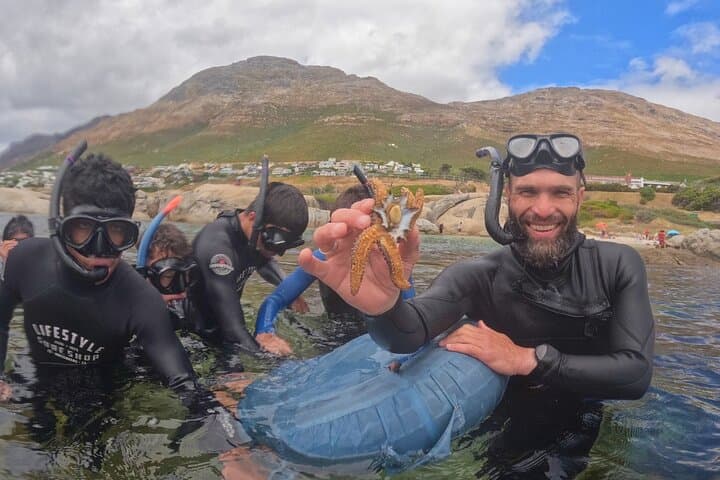 Privately Guided Snorkelling the African Sea Forest, Simonstown