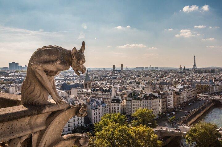Notre Dame de Paris: Semi Private or Private Guided Tour Guide