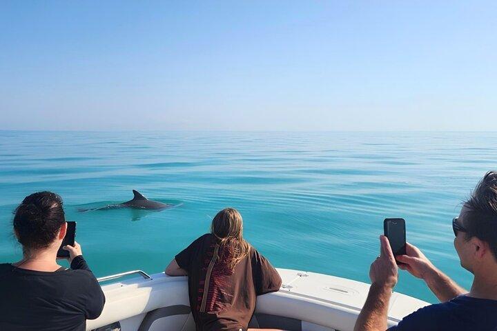 Dolphin Watching and Snorkeling Key West