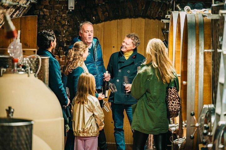 Wachau Valley Private Wine Tour with Tasting and Gourmet Lunch
