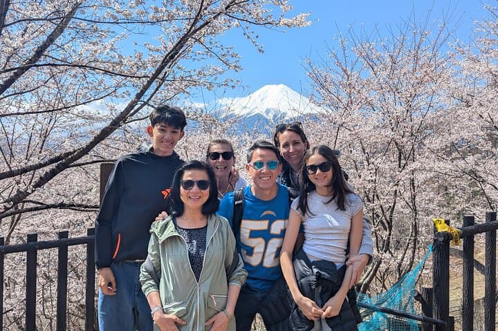 Mt Fuji Hidden Gem Custom Car Tour with Licensed Guide & Driver
