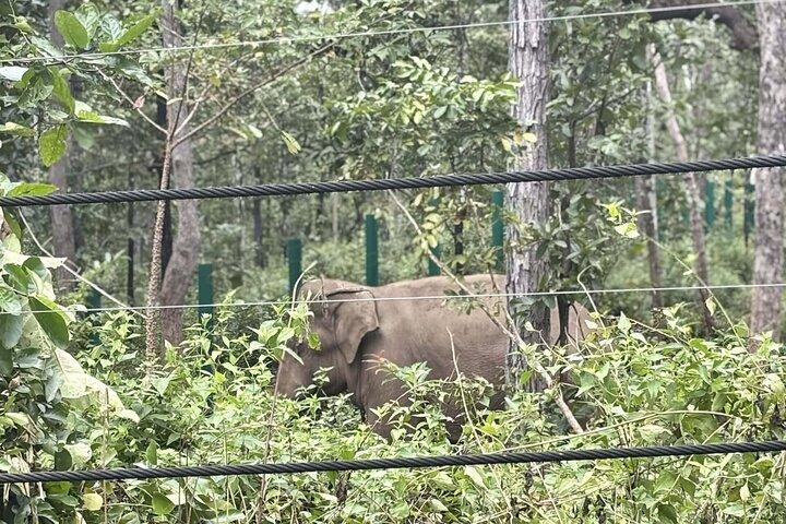 Yok Don Elephant Sanctuary and Don Village