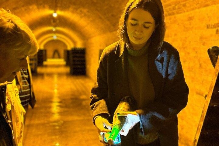 Full day Moet and Chandon family grower in Reims or Epernay