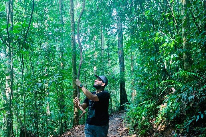 Sinharaja Rain Forest Guided Day Tour