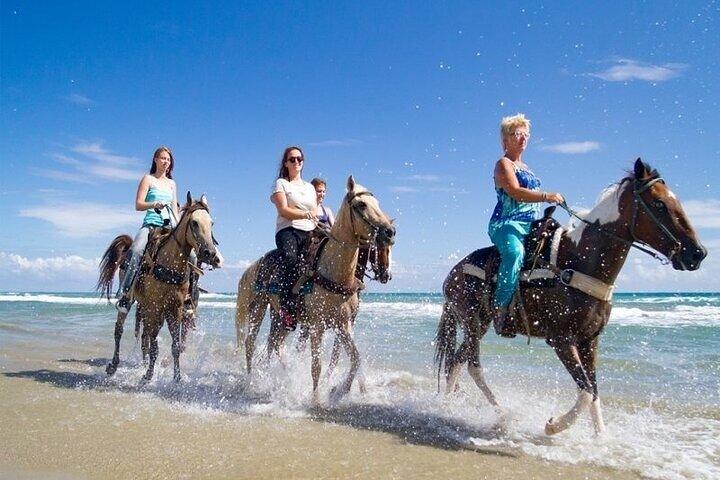 Domitai Park 9 Attractions with Lunch in Punta Cana