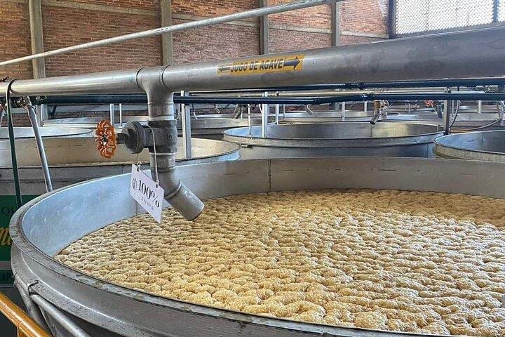 Private Tour to Tequila Distillery and Cantaritos and Celebration