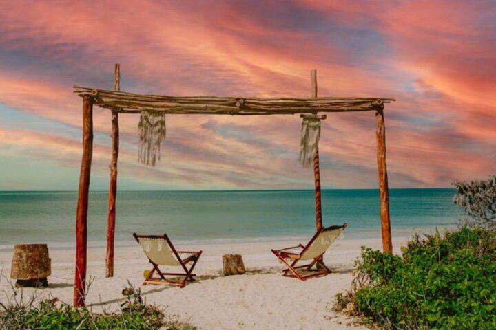 Sisal Mangroves Tour with Beach Visit and Local Experience