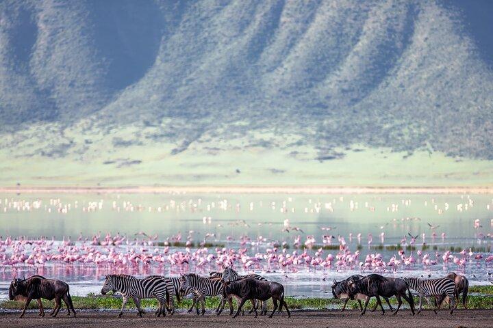 2-Day Private Tarangire and Ngorongoro Safari