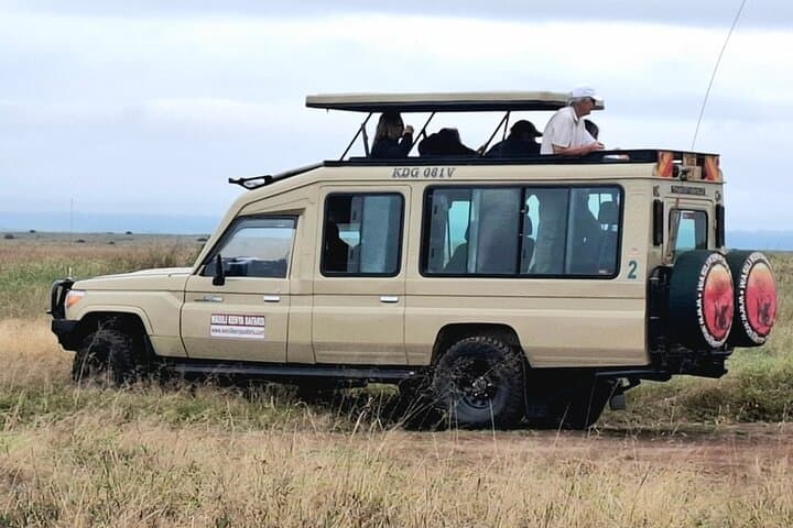 Private Safari 4x4 Jeep: Nairobi park, Sheldriek & Giraffe