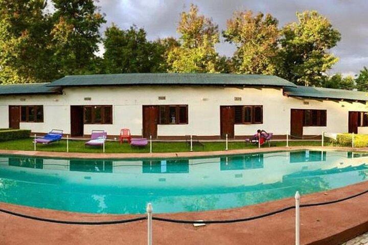 Arusha: Explore Most Affordable 6-DayTanzania Budget Group Safari