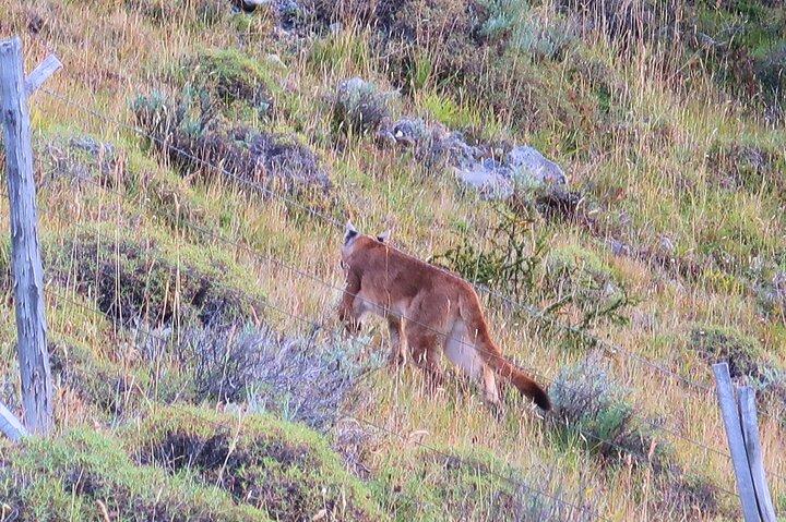 Puerto Natales: Base Torres Small Group Trekking