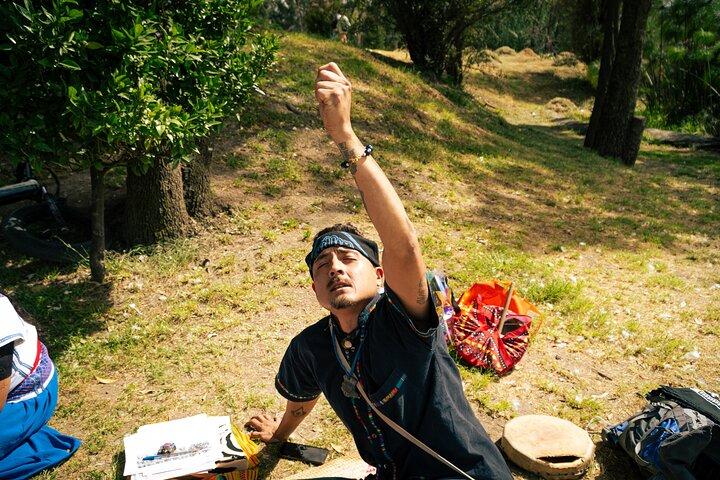 Corn and Cosmos Mexica Divination Reading