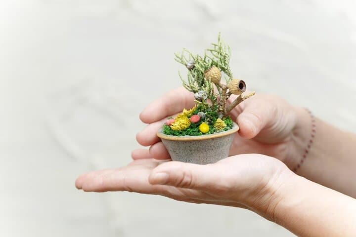 Bonsai Style Arrangement Workshop in Tokyo