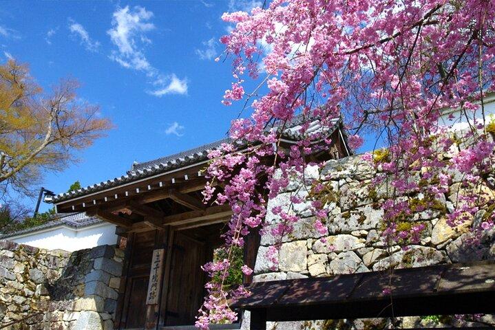 Sanzen-in Temple and Arashiyama Exploration in Kyoto Day Trip