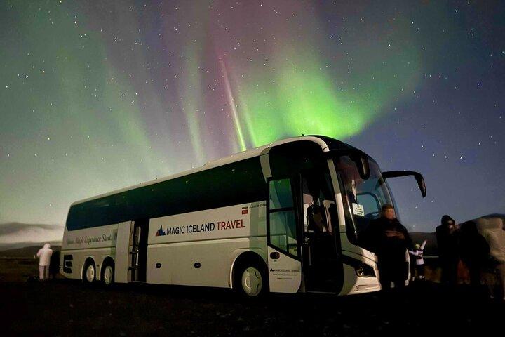 Reykjavik: Northern Lights Coach Tour with Live Forecast