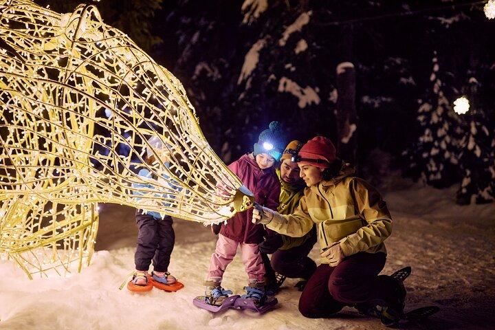 Vancouver Night Tour with Capilano & Grouse Mountain Dinner