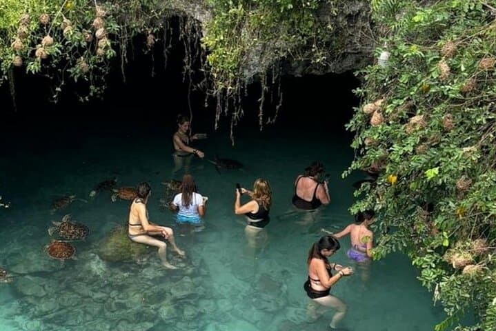 Zanzibar Prison Island, Jozani Forest and Salaam Cave Sea Turtles