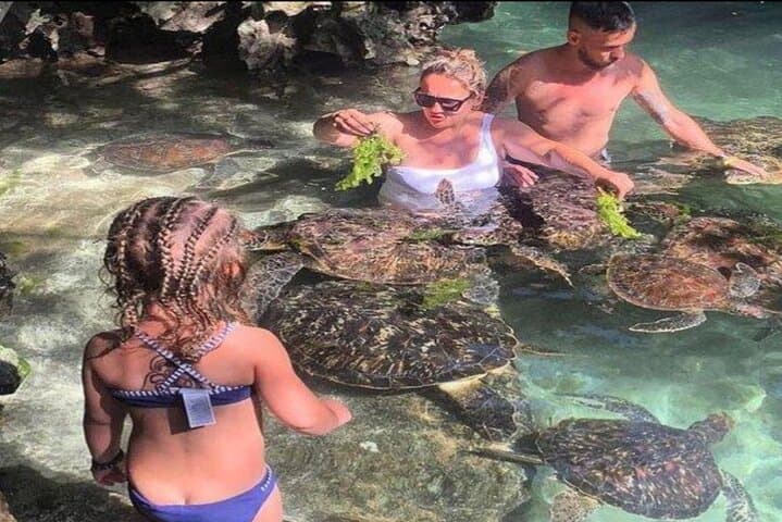 Zanzibar Swim, Snorkel & Feed Turtles at Baraka Aquarium