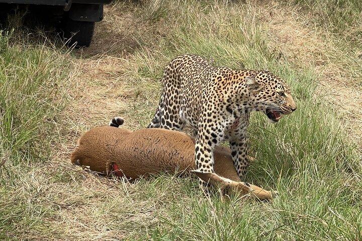 Half Day Nairobi National Park Game Drive tour.